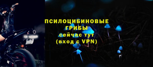 кокс Дмитров
