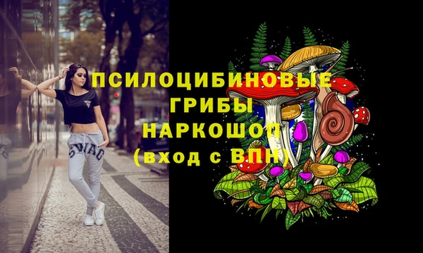 СК Дмитриев