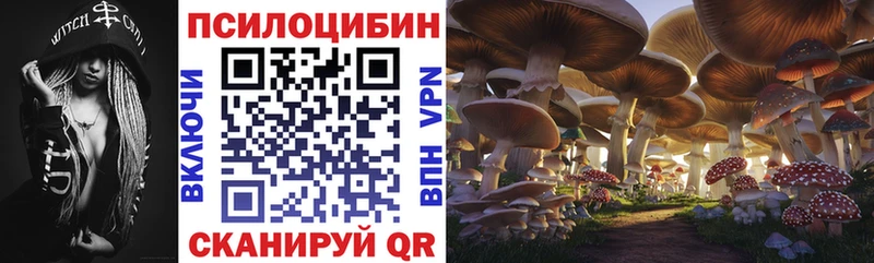 Галлюциногенные грибы GOLDEN TEACHER  Купить закладки  Калач 